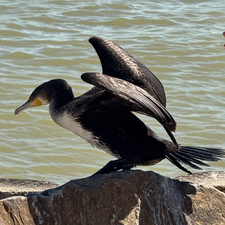 Иконка канала channel0207