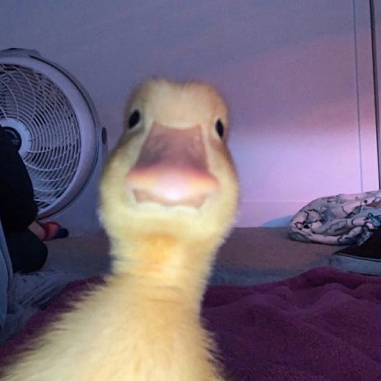 Иконка канала _EM€r$Y_