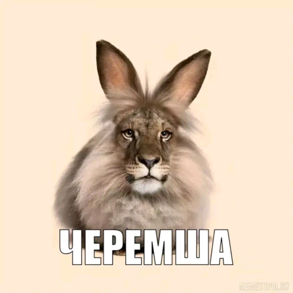 Иконка канала Черемша