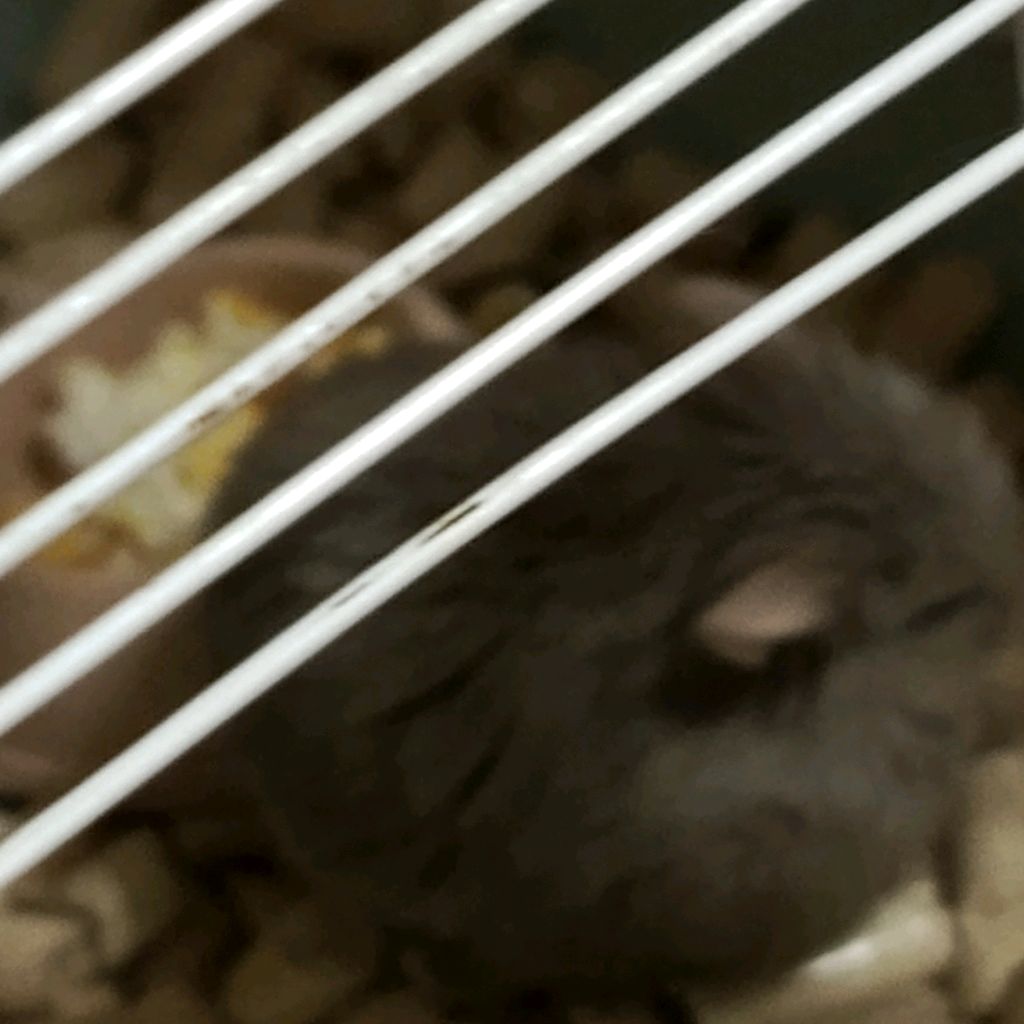 Иконка канала Романтуб