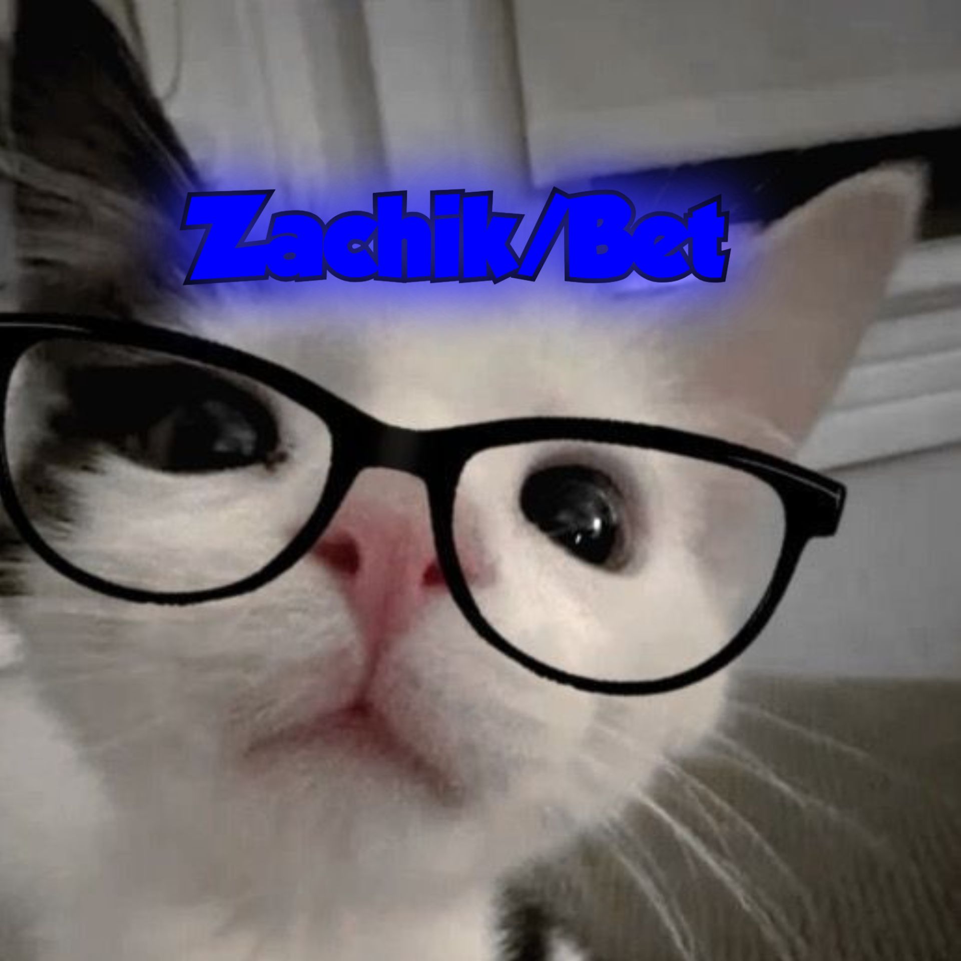 Иконка канала Zachik/Bet