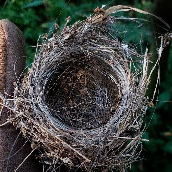 Иконка канала Семейный канал К*