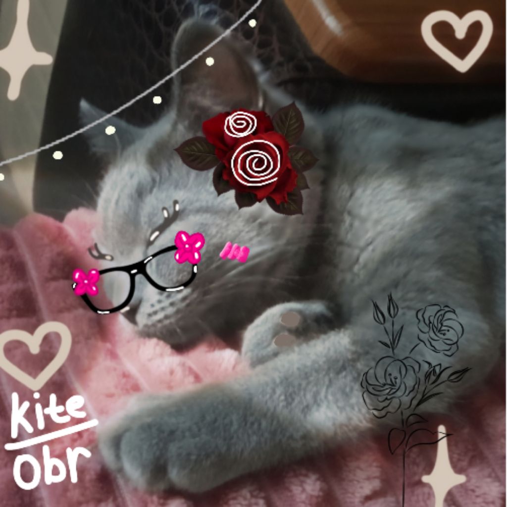 Аватар автора