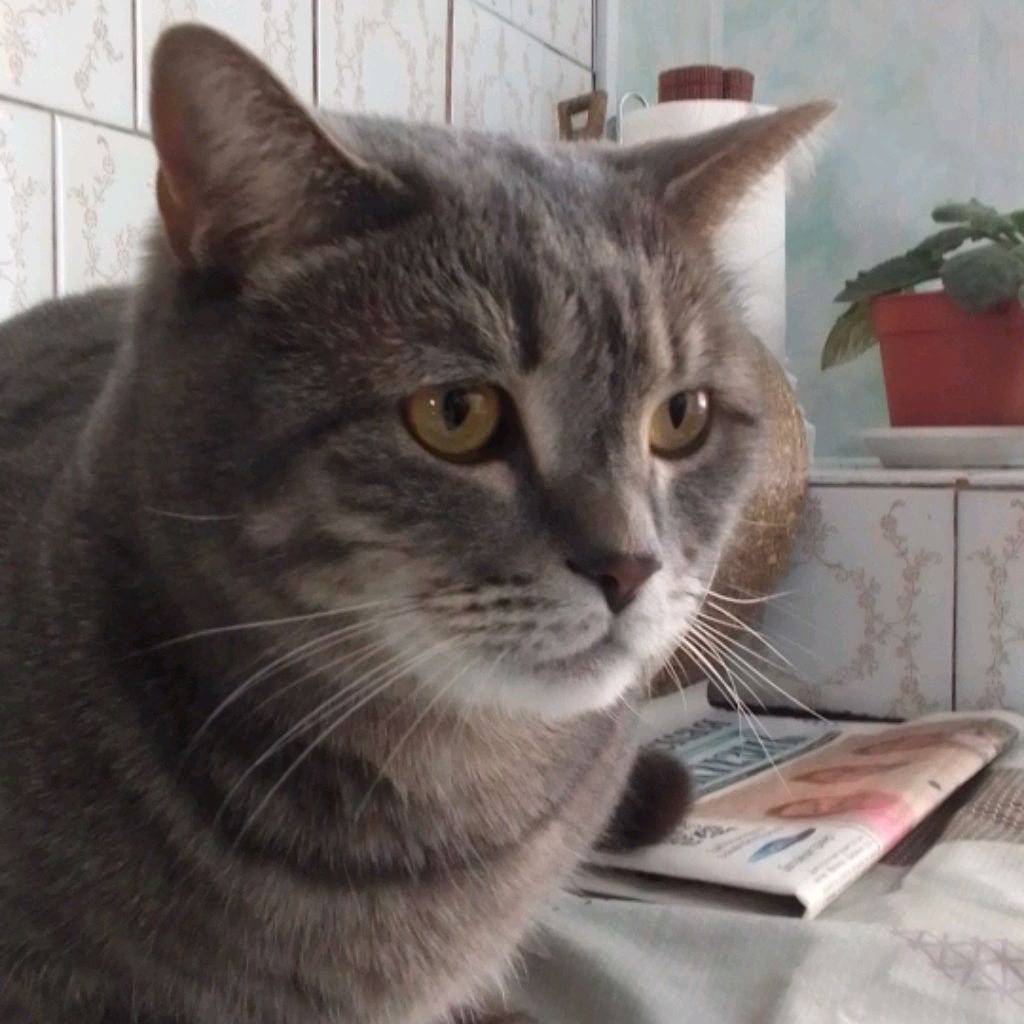 Иконка канала ФИНТ