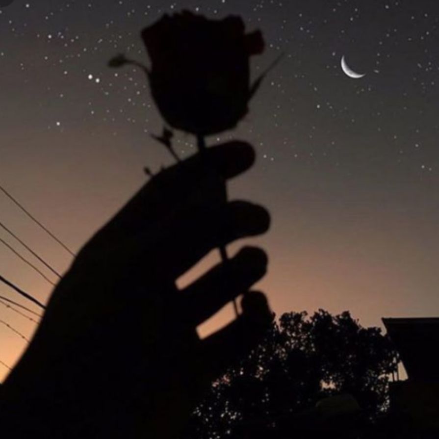 Иконка канала Всё в ряд по дрят