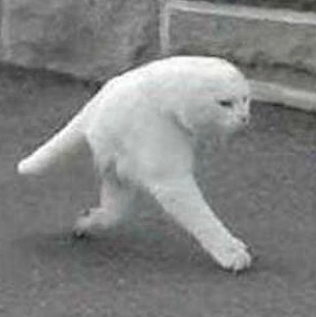 Иконка канала Carnival of Death