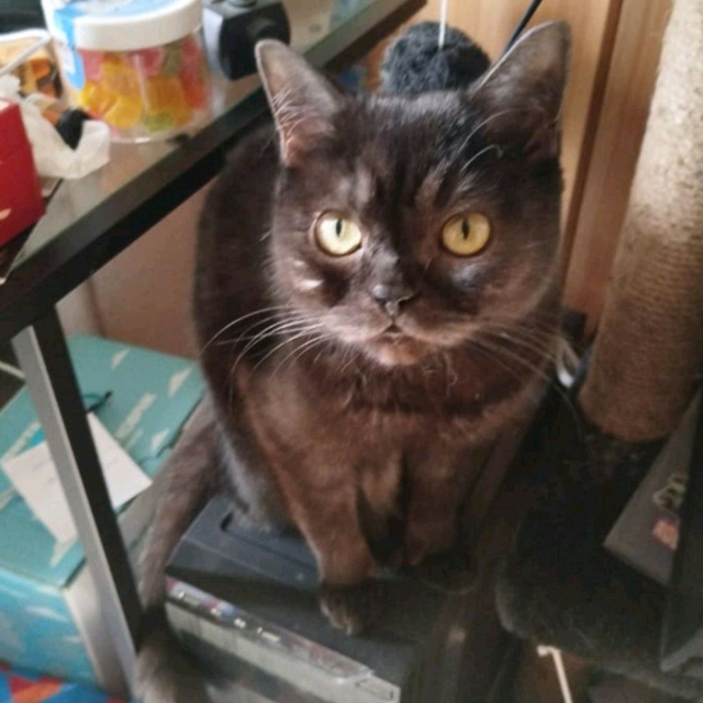 Иконка канала Bikostik2013