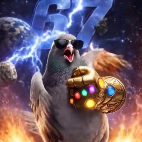 Иконка канала Голубь Станддофер