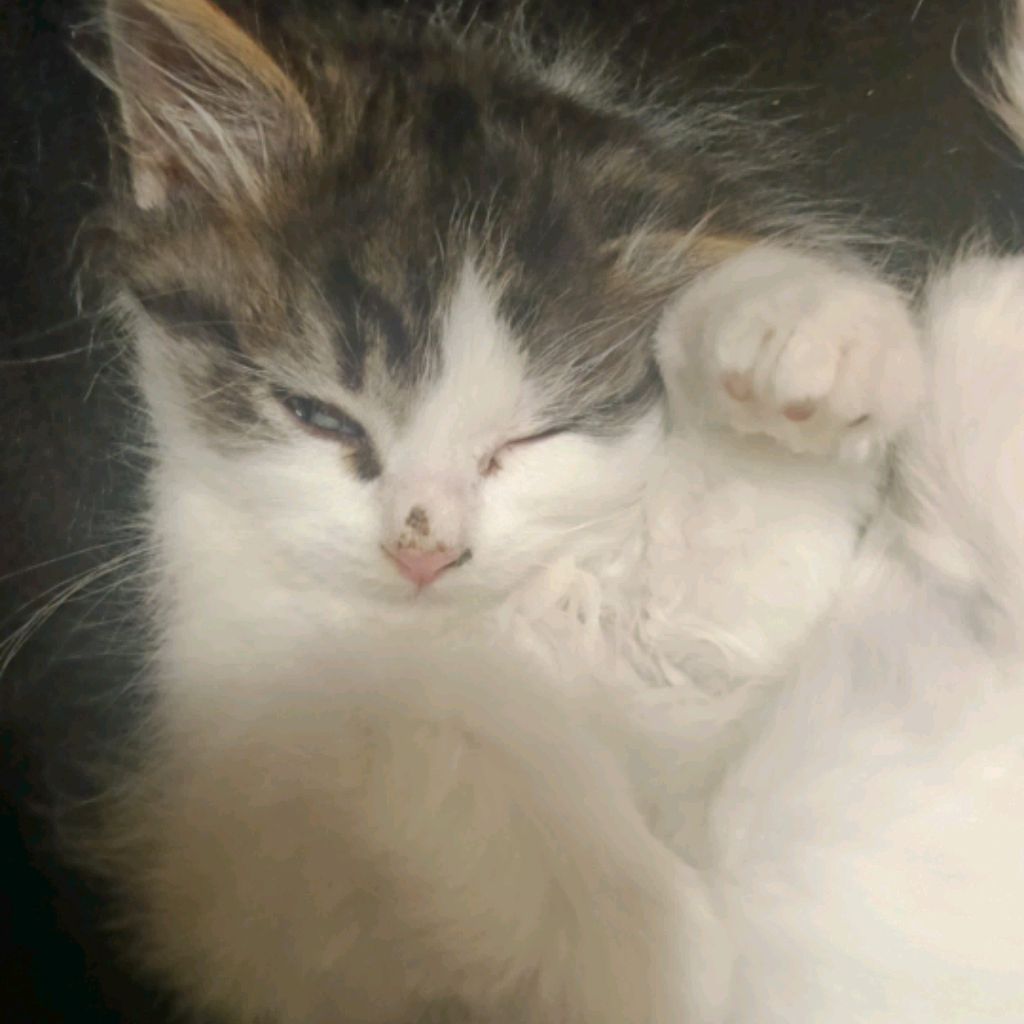 Иконка канала Поляк