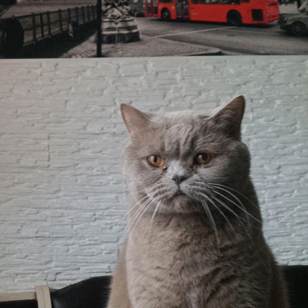 Иконка канала Видос