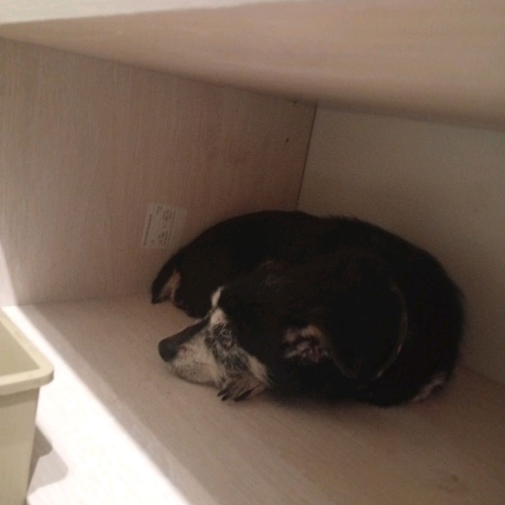 Иконка канала Глашечка❤️