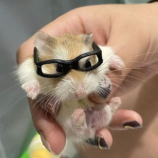 Иконка канала кусь :З