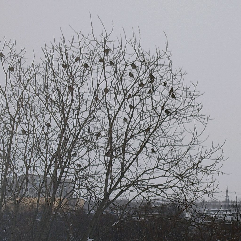 Иконка канала Мир Изучен На 1%