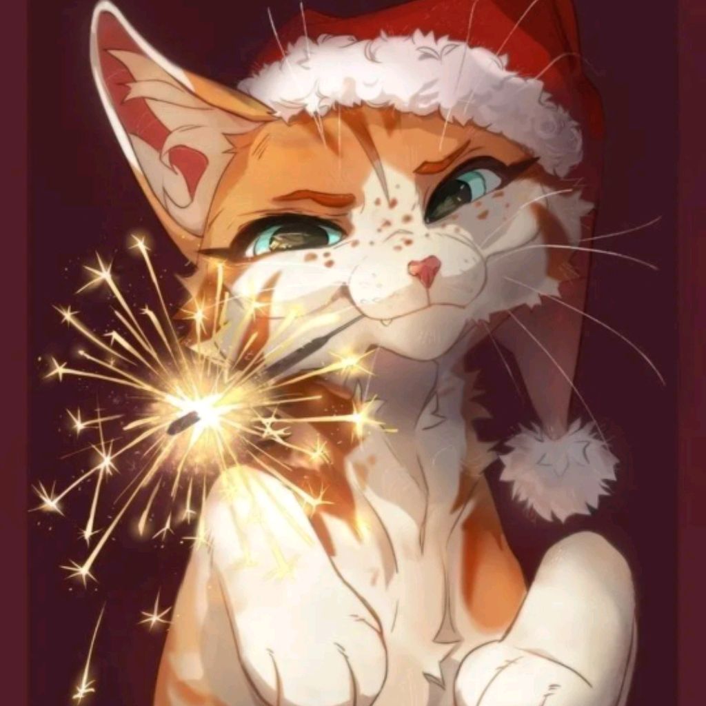 Иконка канала Кот Топ