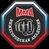 Иконка канала Нижегородская академия ММА
