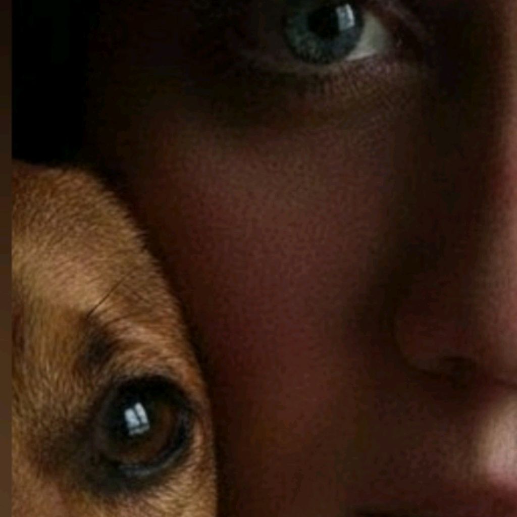 Иконка канала channel76393306