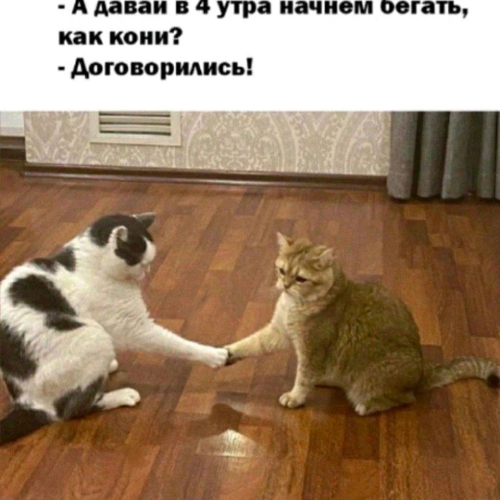 Иконка канала channel76613043