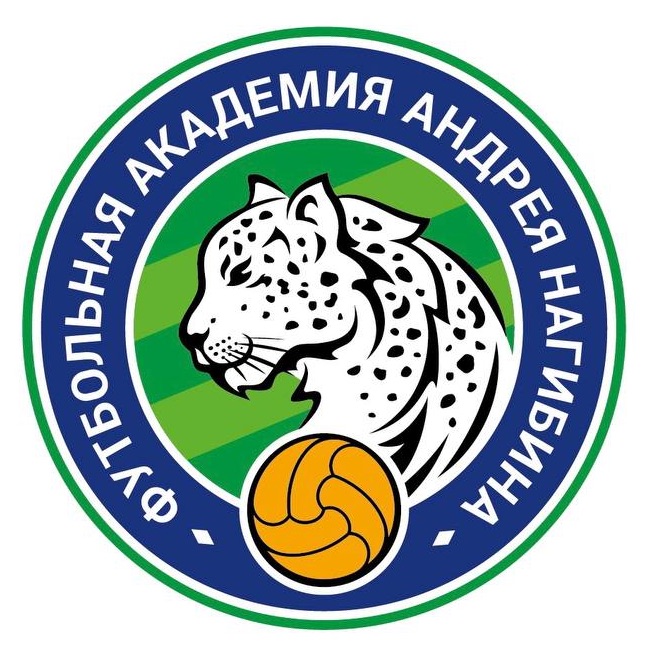 Иконка канала Академия Нагибина 2012/13