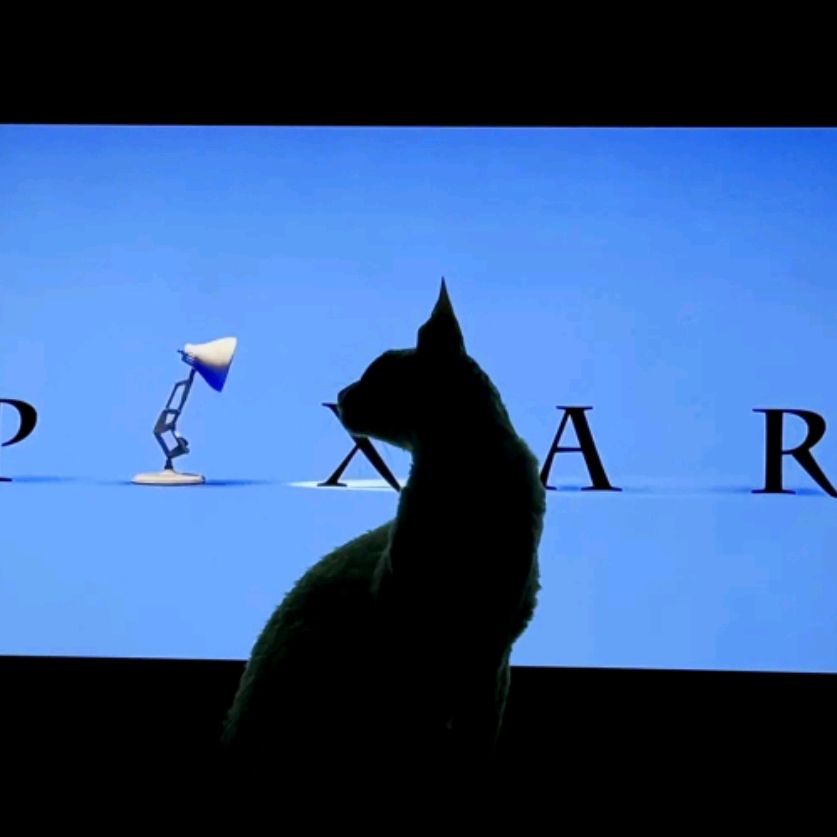 Иконка канала Сырник