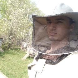 Иконка канала Пасека МедведЯ