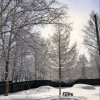 Иконка канала 🌲🌻Дачная История 🏡