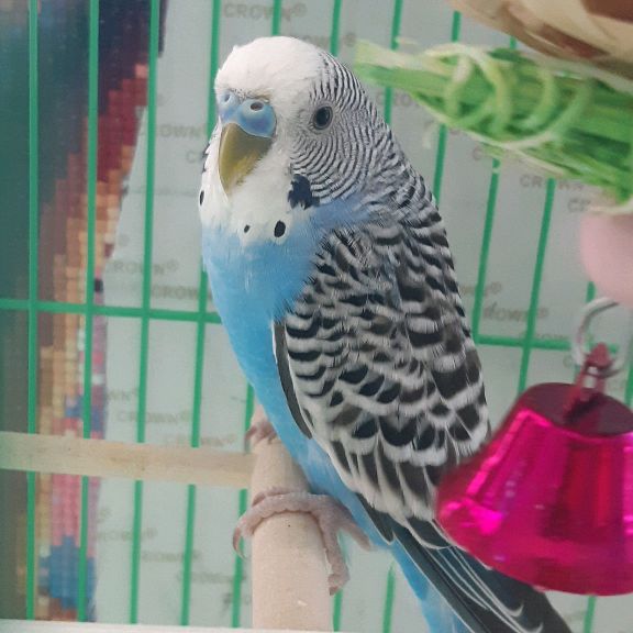 Иконка канала 🐺💕🔪волчица Катюха 🔪💕🐺