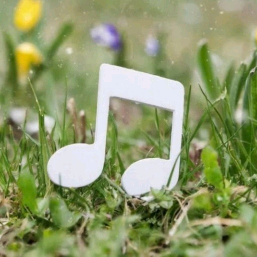 Иконка канала Media BOX