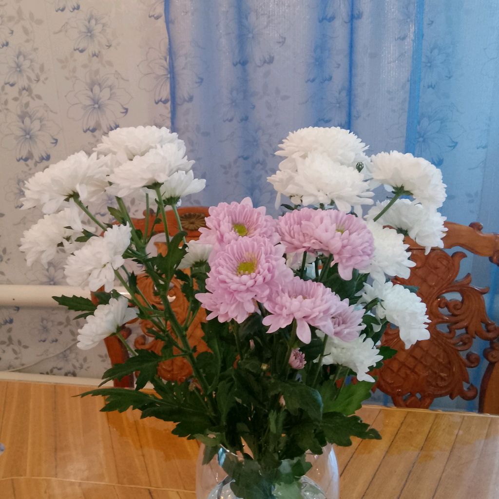 Иконка канала У Любавы в гостях.