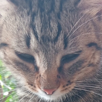 Иконка канала ︎ ︎ ︎