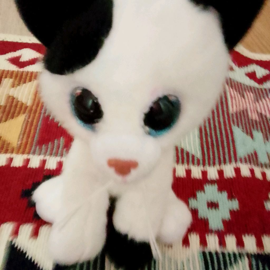 Иконка канала Барсик Play