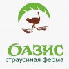 Иконка канала КФХ Оазис