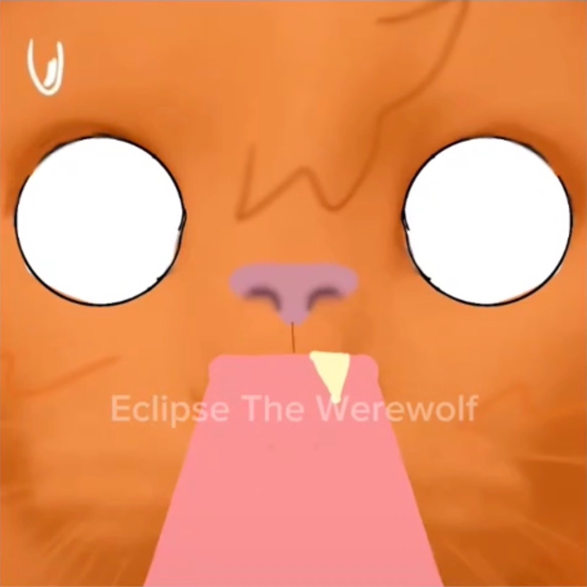 Иконка канала 🐈⭐️🧡🍁Ф͓Л͓А͓Ф͓Ф͓🍁🧡⭐️🐈[¡!ТОЛЬКО РУТУБ!!]