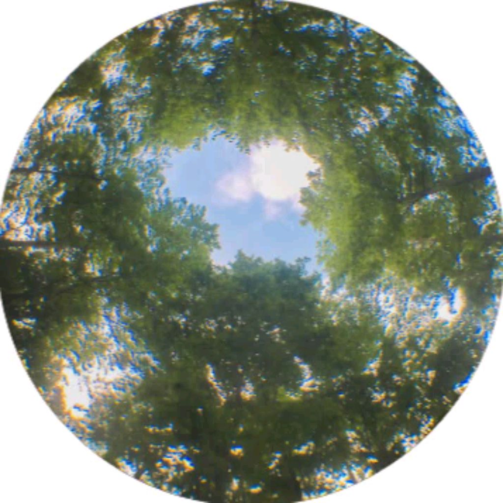 Иконка канала 🍄☁🌿🪽