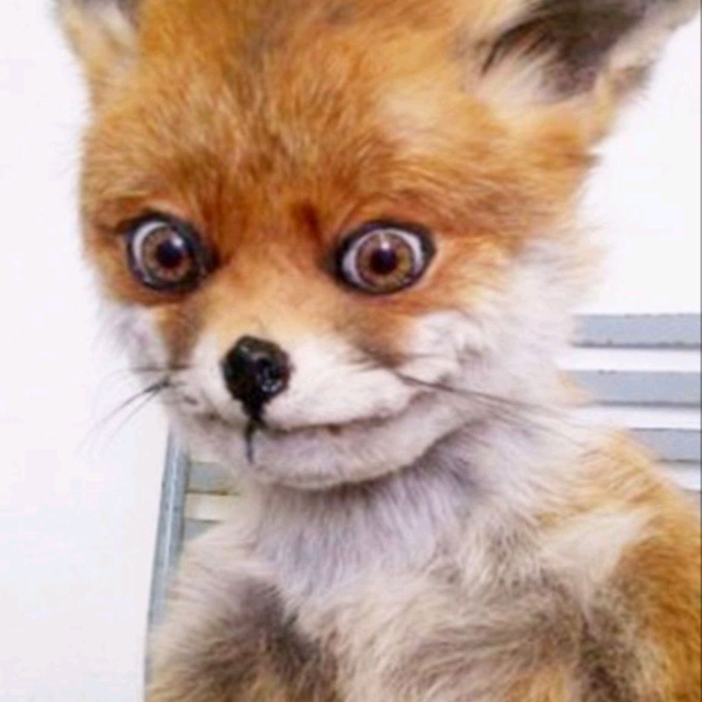 Иконка канала КРЕСТ🇷🇺