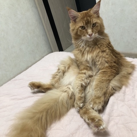 Иконка канала Мейкун Бэн