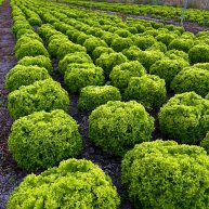 Иконка канала SA-channel