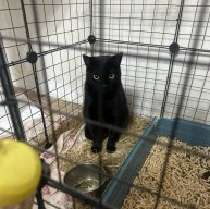 Иконка канала Супер Настя