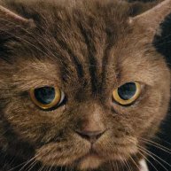 Иконка канала Интересная рыбалка выходного дня и мои снасти.