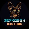 Иконка канала Звуковой Охотник — медиаплощадка и лейбл