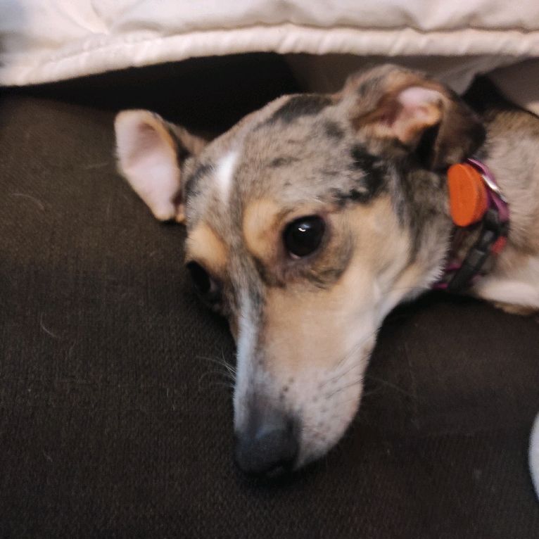 Иконка канала Максим Топ