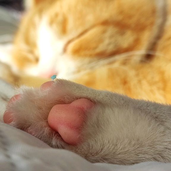 Иконка канала Жёлтый и семья