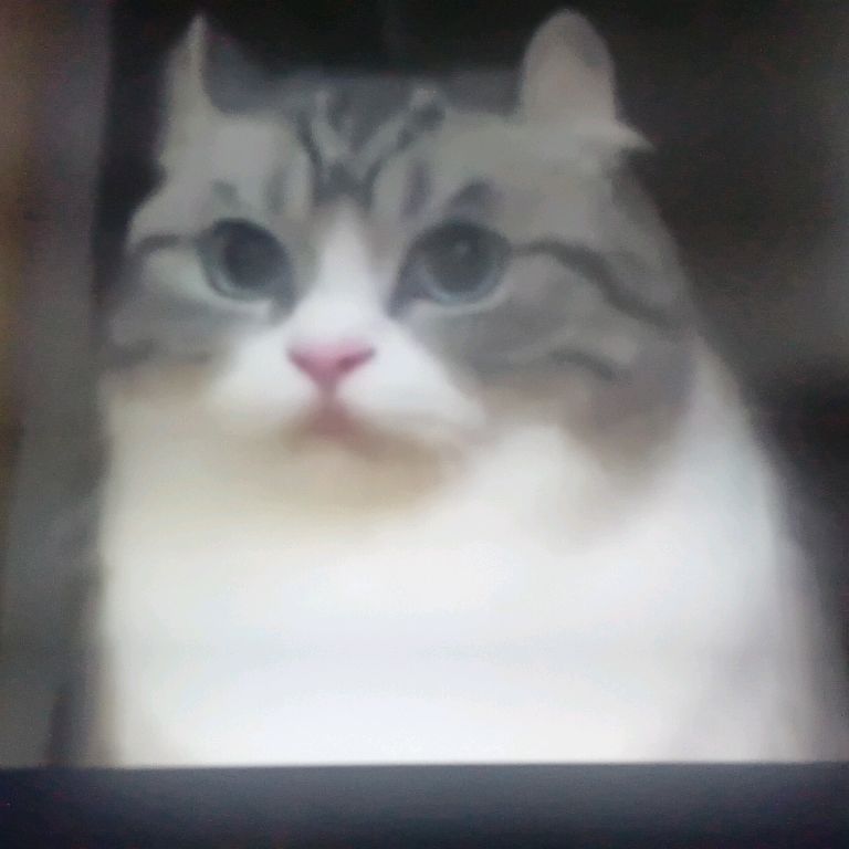 Иконка канала 🦁Вова🦁☃️