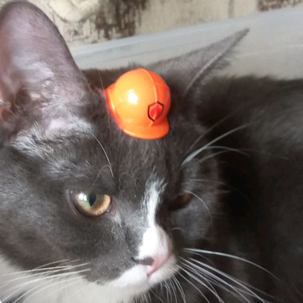 Иконка канала «Tимур Play»