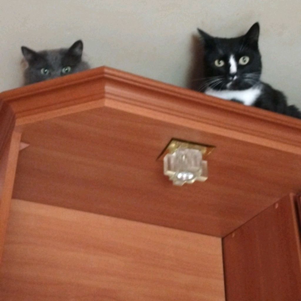 Иконка канала Мои домовята🤗