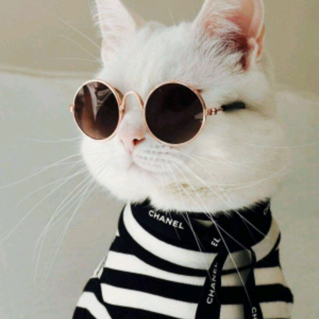 Иконка канала saratov РУЛИТ