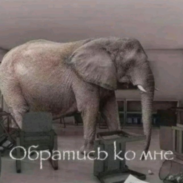 Аватар автора