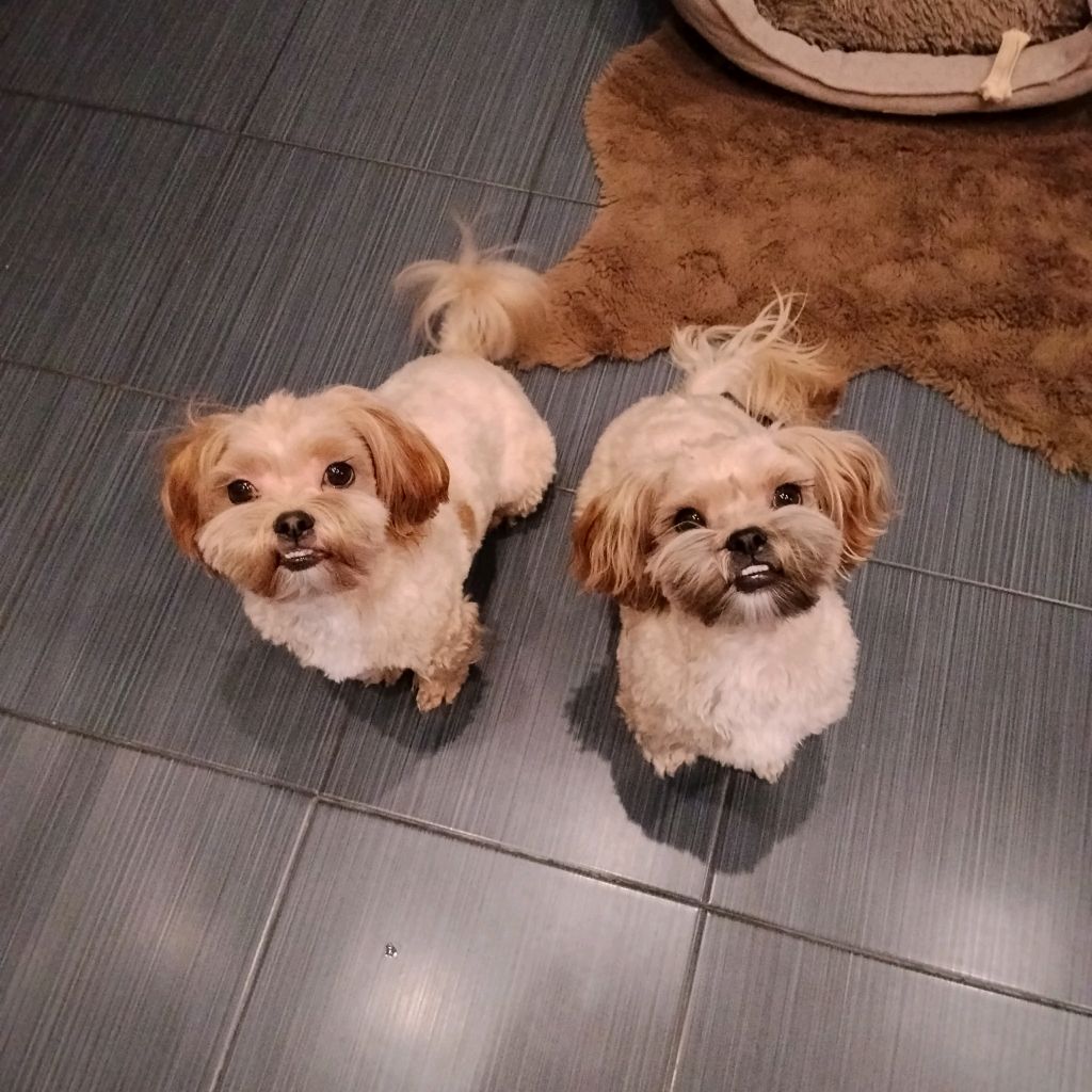 Иконка канала Непридуманные истории Милы