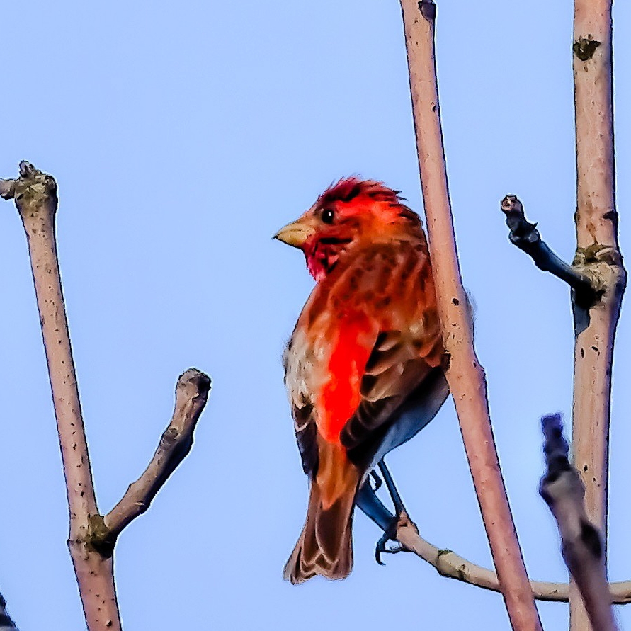 Иконка канала channel25823594