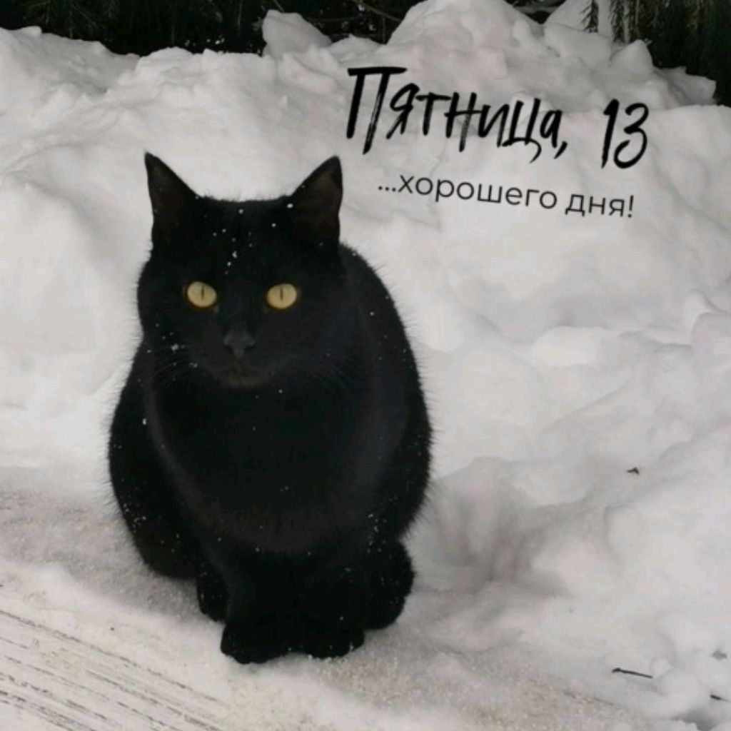 Иконка канала Норикак