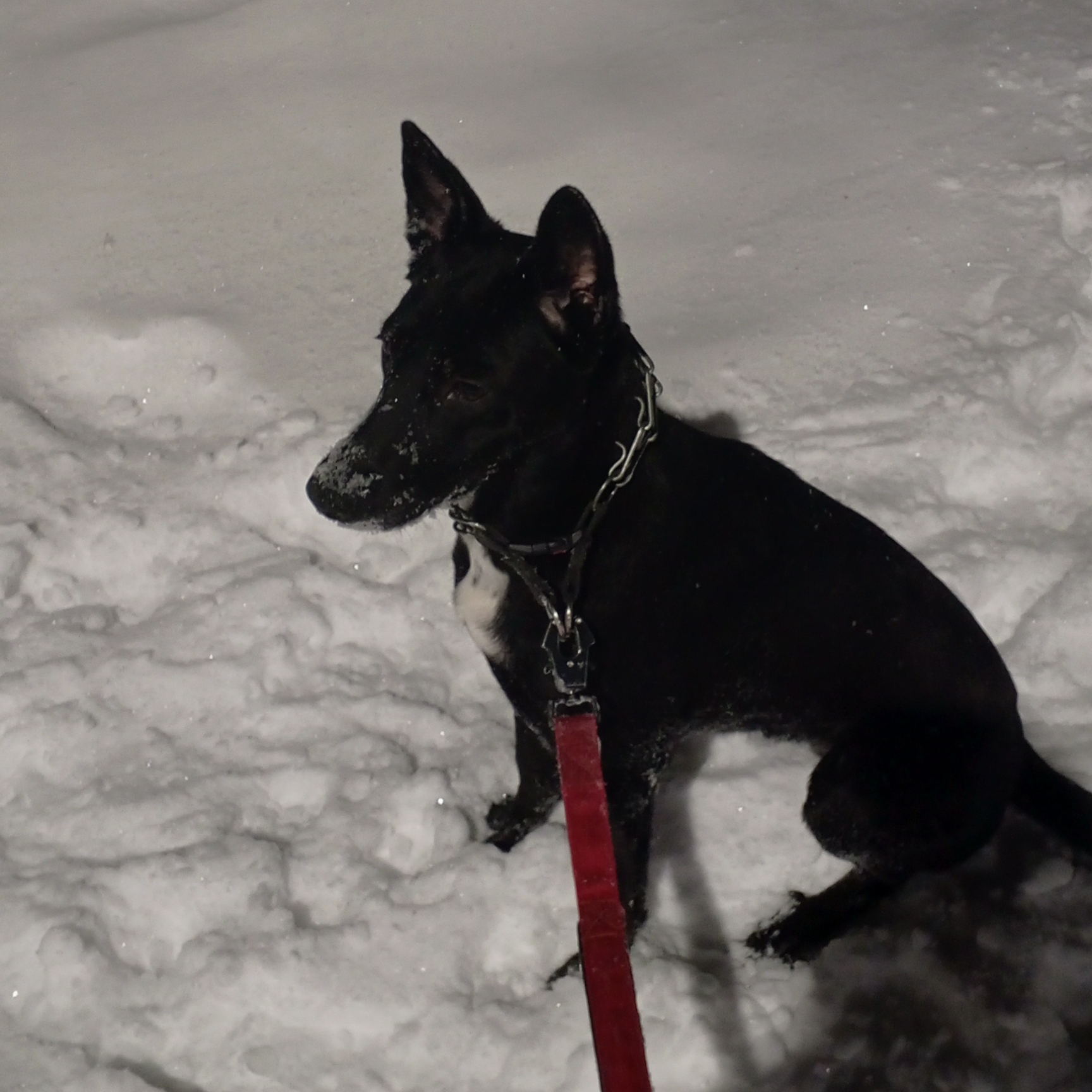 Иконка канала Dark archive